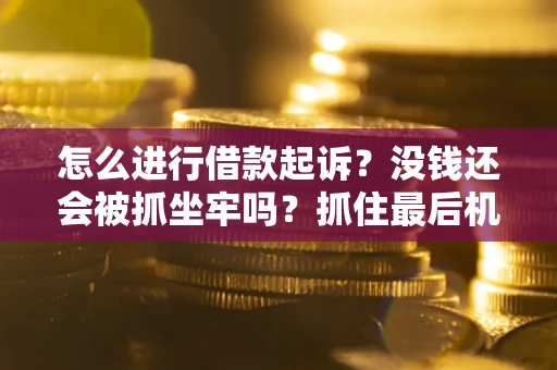 北京怎么进行借款起诉？没钱还会被抓坐牢吗？抓住最后机会！