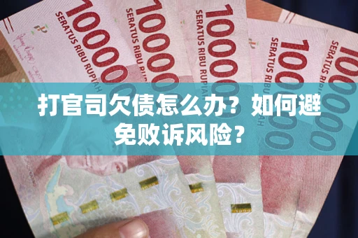 北京打官司欠债怎么办？如何避免败诉风险？