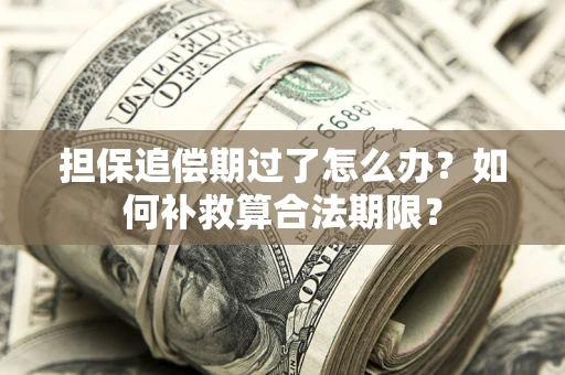 北京担保追偿期过了怎么办？如何补救算合法期限？